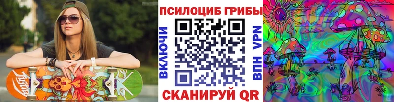 Псилоцибиновые грибы Psilocybe  продажа наркотиков  Пестово 
